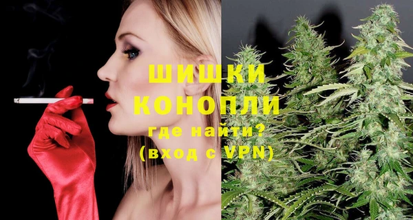 дмт Мегион
