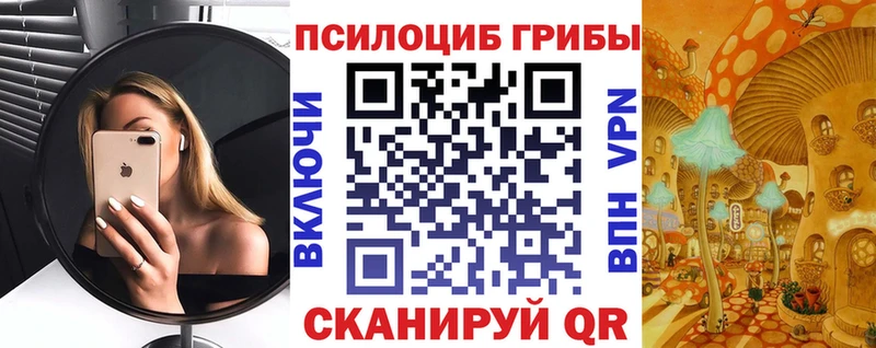 Псилоцибиновые грибы Psilocybe  где можно купить   Шуя 